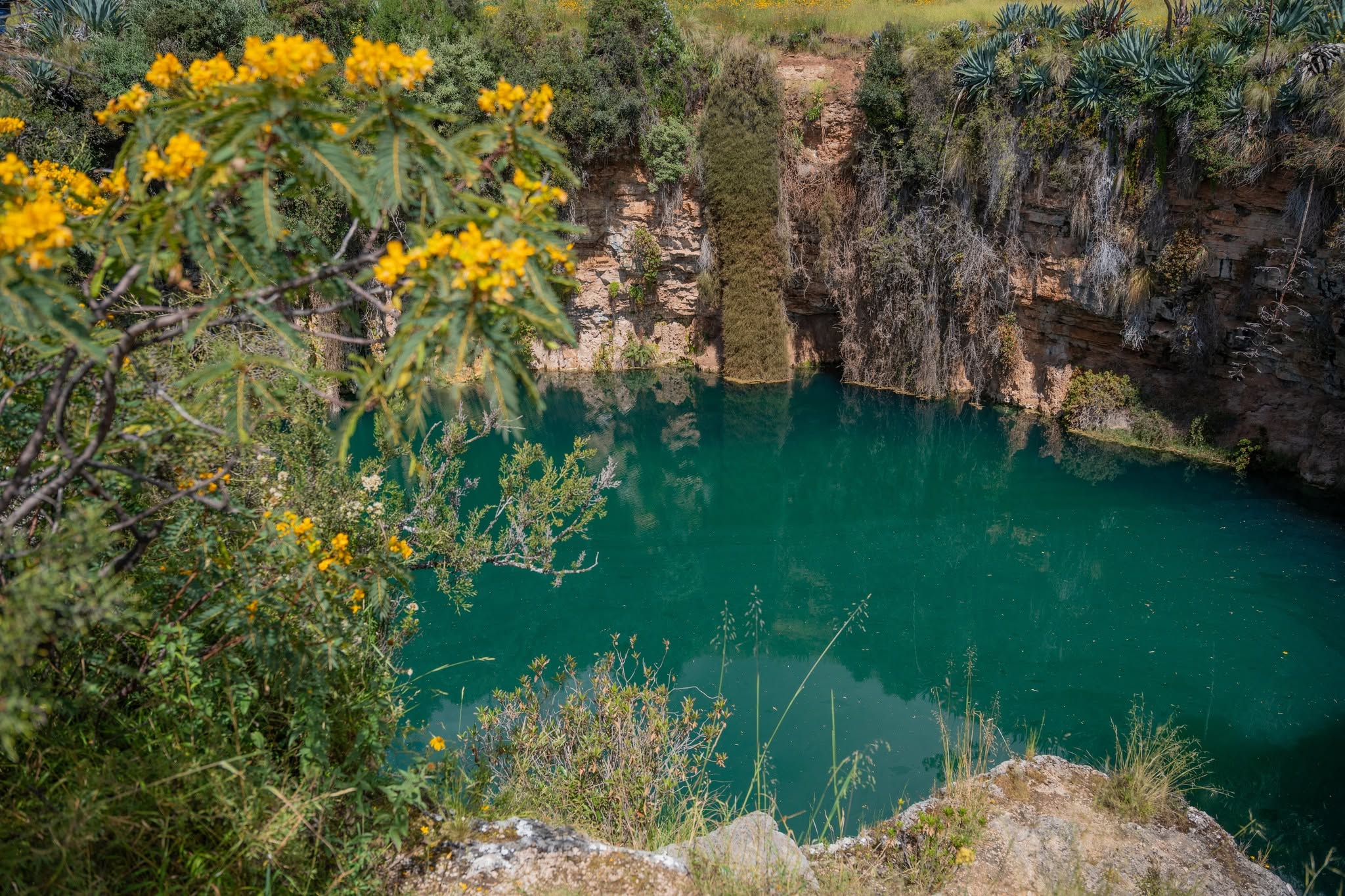 CENOTE DE CHAPALLA